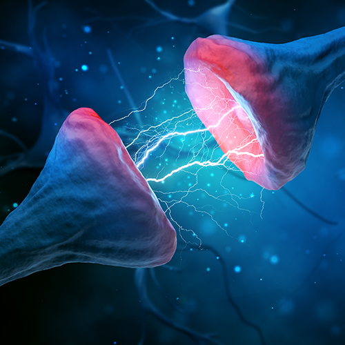 EE System Clinical Study