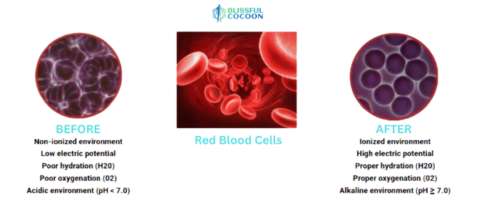 Qualitative live blood analysis on vitalbody detox Qualitative live blood analysis on vitalbody detox